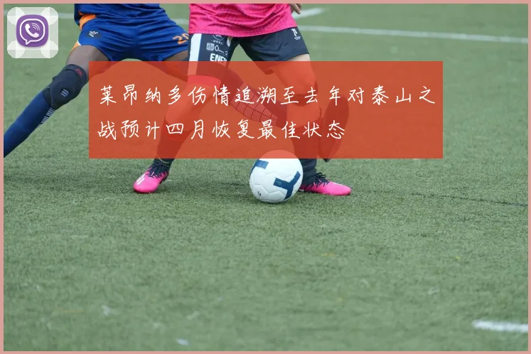莱昂纳多伤情追溯至去年对泰山之战预计四月恢复最佳状态