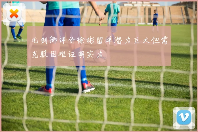 毛剑卿评价徐彬留洋潜力巨大但需克服困难证明实力