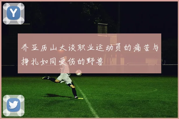 乔亚历山大谈职业运动员的痛苦与挣扎如同受伤的野兽